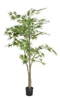 Árvore Aralia Artificial 1