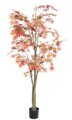 Árvore Aralia Artificial 2