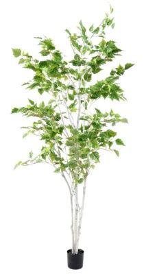 Árvore Betula Artificial 1