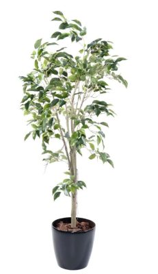 Árvore Ficus Artificial 1