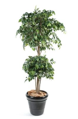 Árvore Ficus Artificial 3