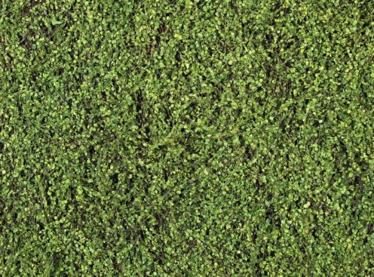 Jardim Vertical Artificial Interior Helixine