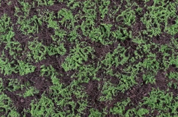 Jardim Vertical Artificial Interior Musgo Alto