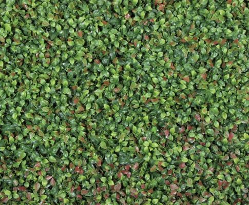 Jardim Vertical Artificial Interior Pumilla